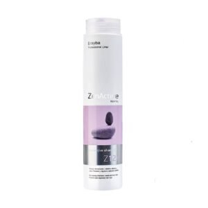 Erayba ZenActive Z12R Preventive Shampoo – Anti-Chute Revitalisant 250 ml